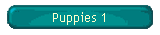 Puppies 1