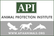 Animal Protection Institute - Saving animals is our reason for being.