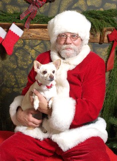 Our dog Mikki with Santa