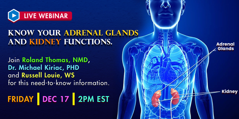 Know Your Adrenals and Kidney Function