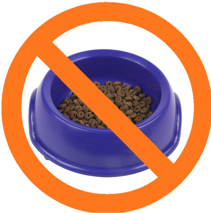 NO dry kibble pet food