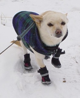 Mikki with winter boots