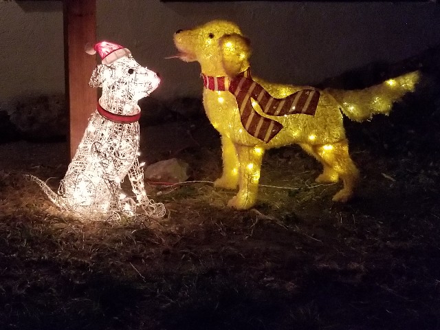 Christmas doggies